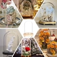 thumbnail image 6 of Glass Dome with Base Glass Cloche Bell Jar Display Dome Cloche Glass Decoration for Plants Rose Flower Display Storage Home Christmas Party Favor Decoration 4.4x7 inch Blanched Almond, 6 of 6