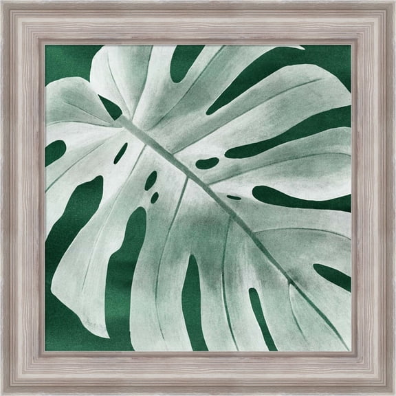 Great Art Now Velvet Palm IV by Grace Popp, Framed Wall Art, 20W x 20H