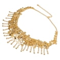 thumbnail image 1 of Accesorio De La Cadena De La Cintura De La Cintura De Baile, Liviano Y Llamativo Cinturón De Bufanda De Cadera De Danza Del Vientre Flexible Para El Accesorio De Disfraces Del, 1 of 7