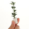 thumbnail image 5 of 1/ En s Modelo De Plantas Accesorios De Decoración De Jardín UNA Yotijar Plantas de miniaturas de casas de muñecas, 5 of 5