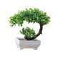 thumbnail image 4 of Plantas artificiales en maceta, adorno para exterior, regalo de inauguración de la casa, suelo, interior Estilo de, 4 of 8