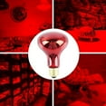 thumbnail image 2 of 100W 4Pack Infrared Heat Lamp Bulb Red Light Bulbs for Pet Lizards Bearded Snakes Reptiles 220V, 2 of 4