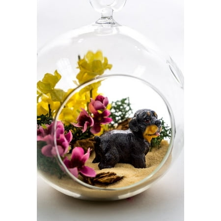 Pets Complete Set Terrarium Kit | Dog Lovers Pet Series | Complete Terrarium Gift Set | 4