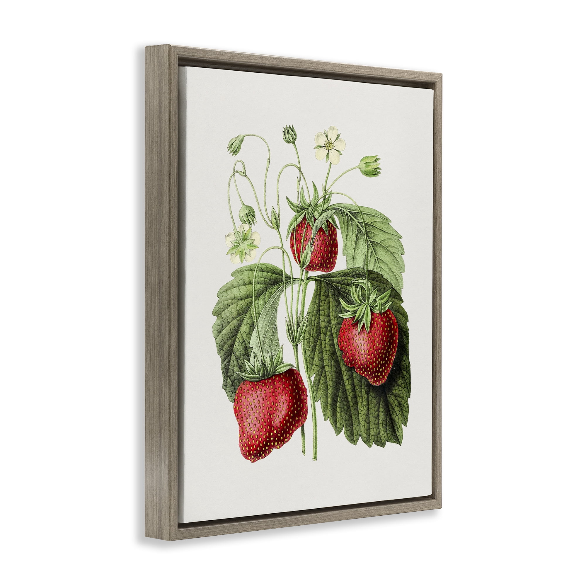 Stupell Industries Vintage Strawberries Study Food & Beverage Painting Brown Floater Framed Art Print Wall Art, 17 x 21