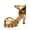 Gold, variant on Women's Practice Ballroom Dancing Shoes Indoor Performance Latin Dance Shoes for Woman