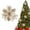 Champaign Gold, variant on 5.7 Inch Christmas Poinsettia Flower,Christmas Glitter Artificial Flower with Clip Xmas Tree Ornament for Home Wreath Garland Party Decor(Champaign Gold)