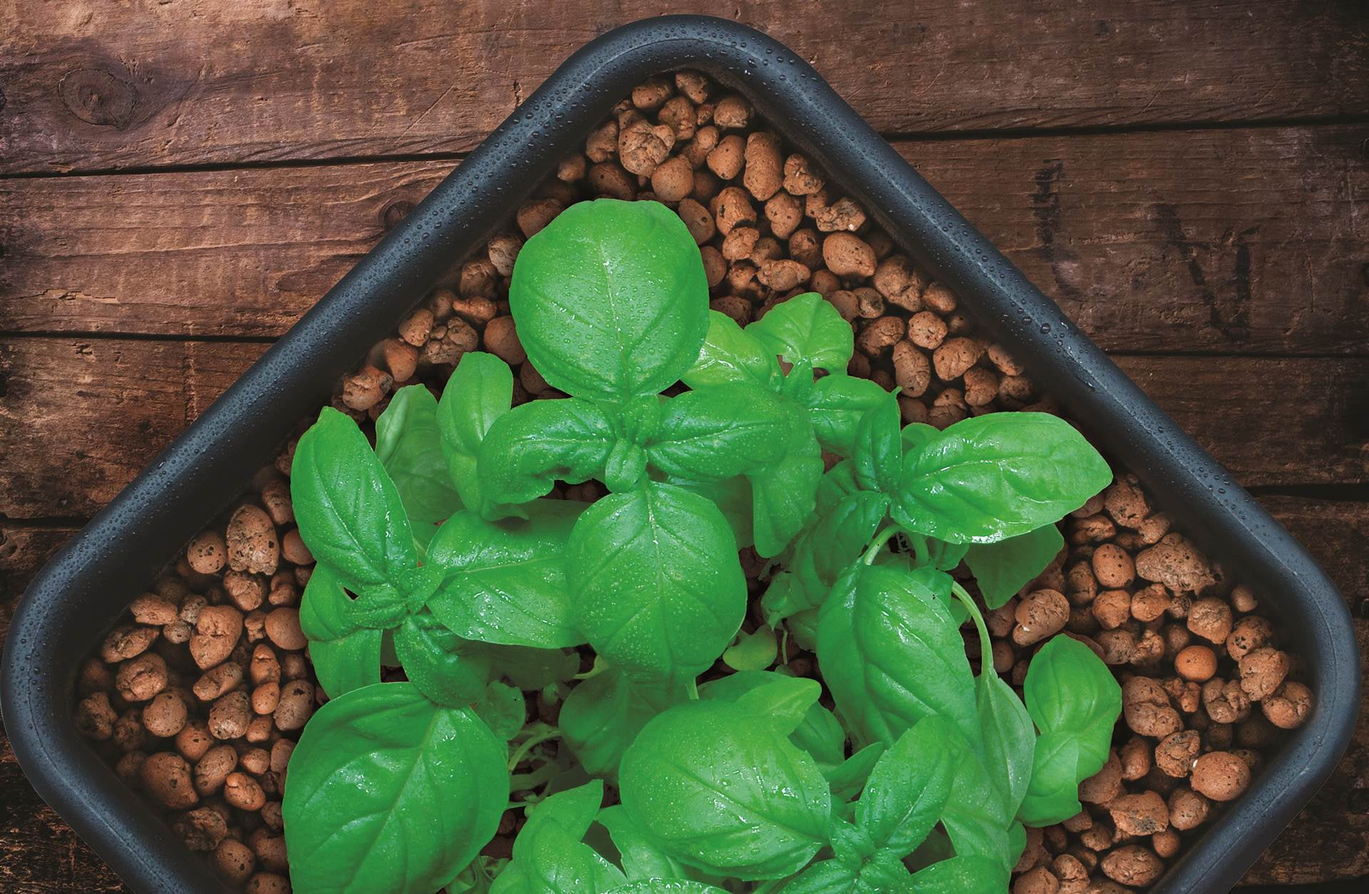 GROW!T GMC10L Hydroponic 100% Natural Clay Pebbles, .35 Cubic Feet/10 Liter Bag