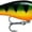 Perch, variant on Fat Rap Hard Bait Lure