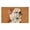 Brown White Bulldog, variant on Calloway Mills 109801729 English Bull Dog Doormat 17" x 29"