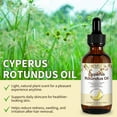 thumbnail image 3 of Aliver Cyperus Rotundus Oil 60ml - 100% Pure & Natural Cyperus Rotundus Oil for Hair Removal, Balances Skin Tone, Shrinks Pores,2.02 fl.oz, 3 of 11