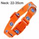 thumbnail image 2 of Conjunto de 2 piezas de collar para perros y gatos y divertido conjunto de correa. Collar de rayas ajustable para perros como regalo para mascotas., 2 of 5