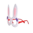 thumbnail image 2 of Easter Glass Glasses Animal Dress-Up juego Disfraces Cumpleaños Plástico EyeGlasses Decoración Regalos Accesorios Adornos Tipo 5 Eigraketly AP004901-05, 2 of 7