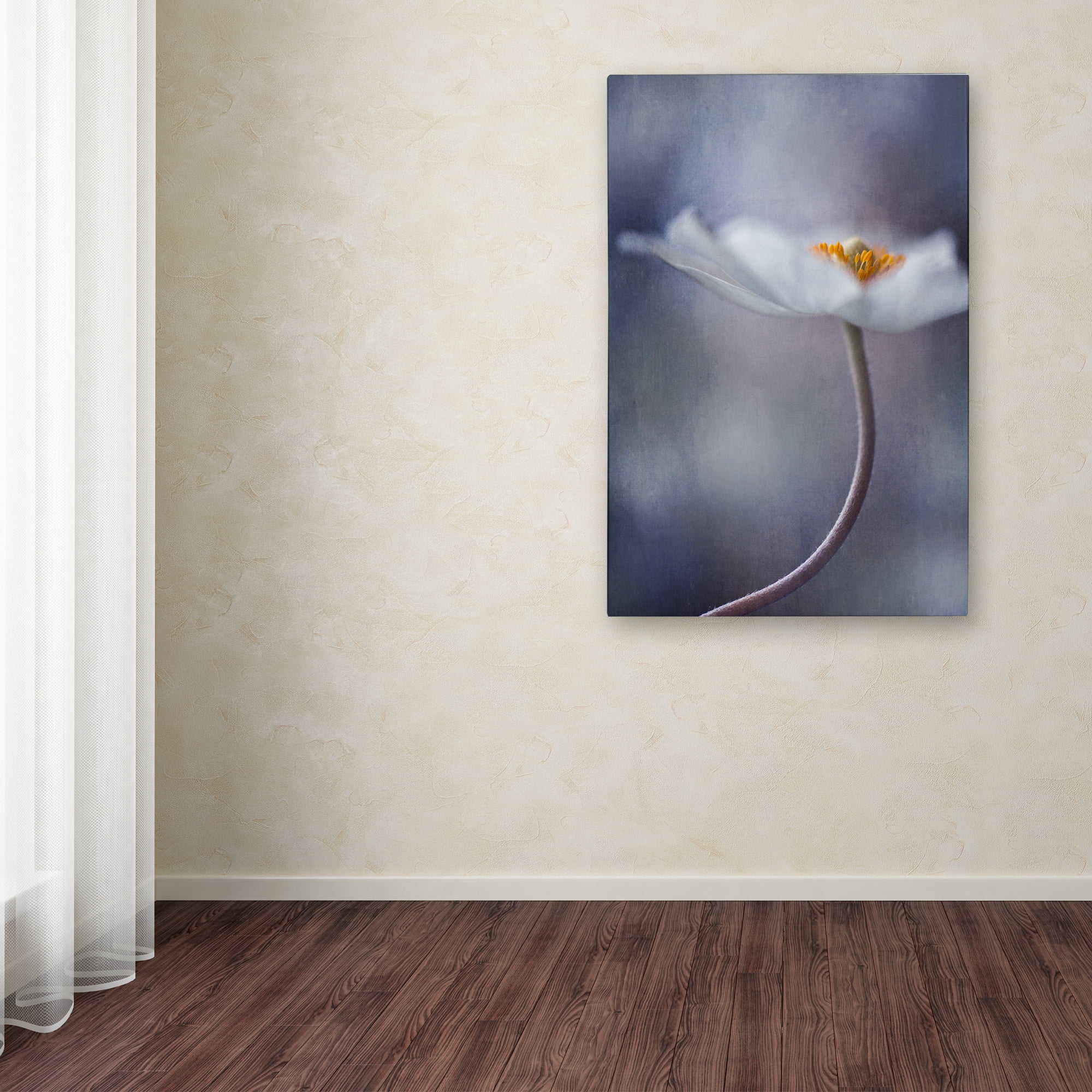 Trademark Fine Art 'The Beauty Within' Canvas Art by Priska Wettstein