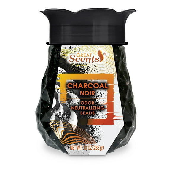 Charcoal Odor Eliminator