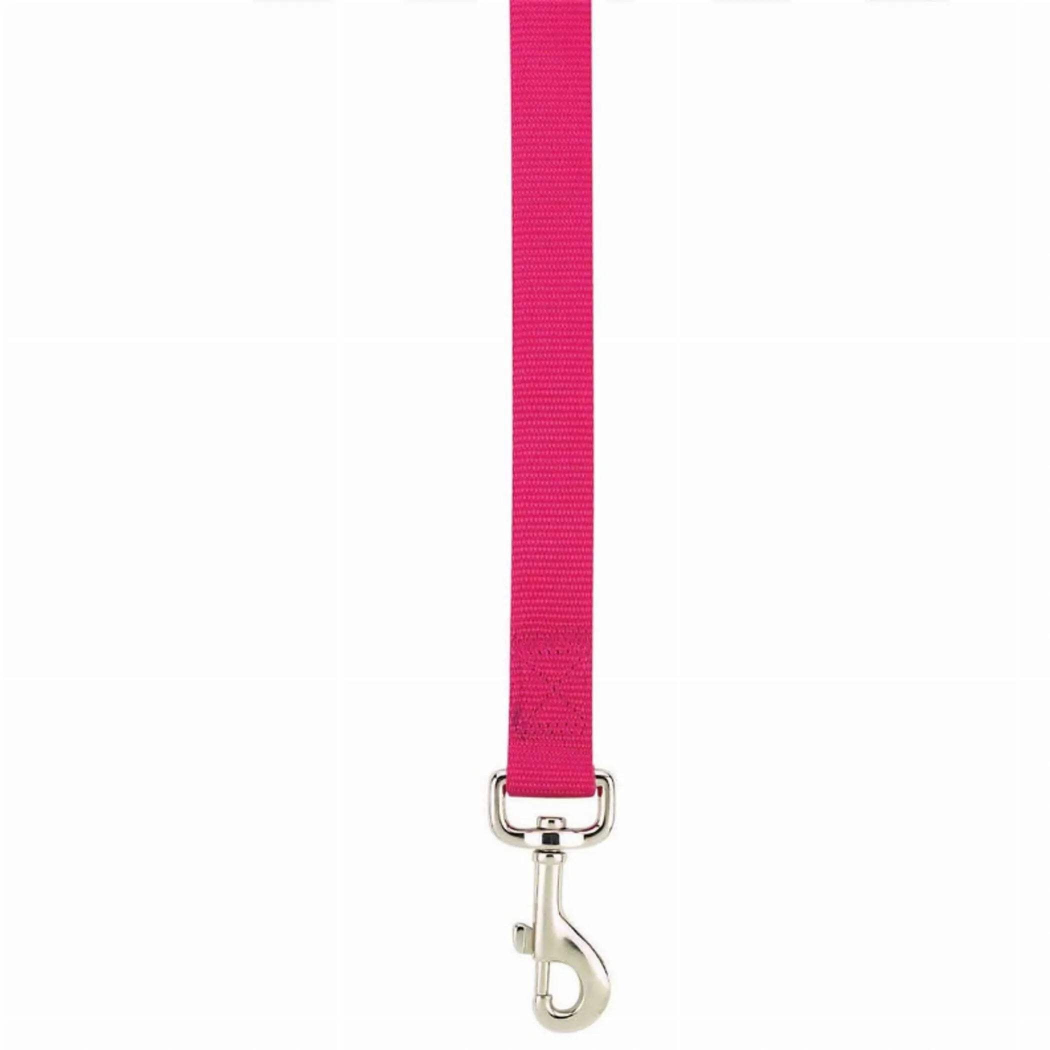 Casual Canine ZM2392 66 31 6 ft. x 1 in. Basic Nylon Dog Leash Lead, Brown