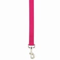 thumbnail image 5 of Casual Canine ZM2392 66 31 6 ft. x 1 in. Basic Nylon Dog Leash Lead, Brown, 5 of 6