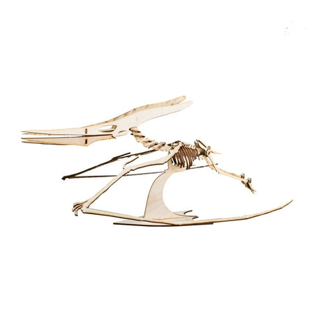 pterodactyl skeleton