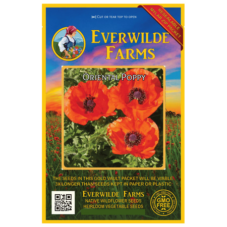 Everwilde Farms - 2000 Oriental Poppy Garden Flower Seeds - Gold Vault Jumbo Bulk Seed