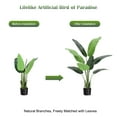 thumbnail image 3 of 48 Inch Artificial Canna with Texture - Lifelike Simulated Greenery Decorations (2 Pack), 3 of 7