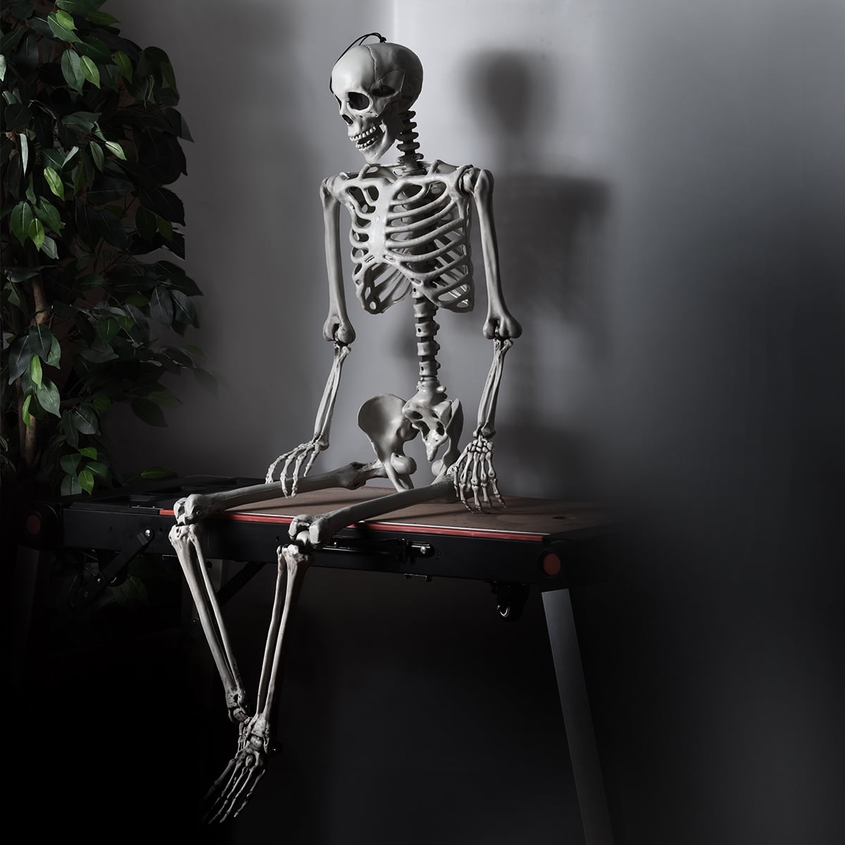 Costway 5.4ft Halloween Christmas Skeleton Life Size Realistic Full Body Hanging with Movable Joints 63 Inches