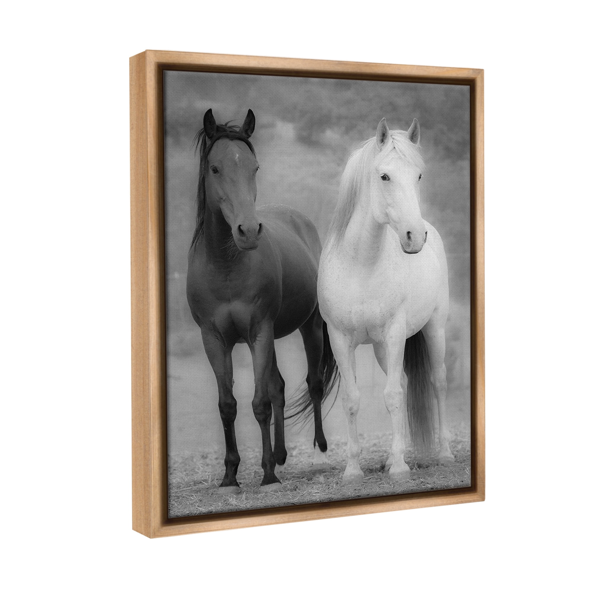 Stupell Industries White & Black Horses Animals & Insects Photography Brown Floater Framed Canvas Art Print Wall Art, 17 x 21