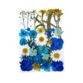 thumbnail image 1 of Pressé Séché Fleur Herbier DIY Marque-Page Résine Époxy Outil Bleu, 1 of 4