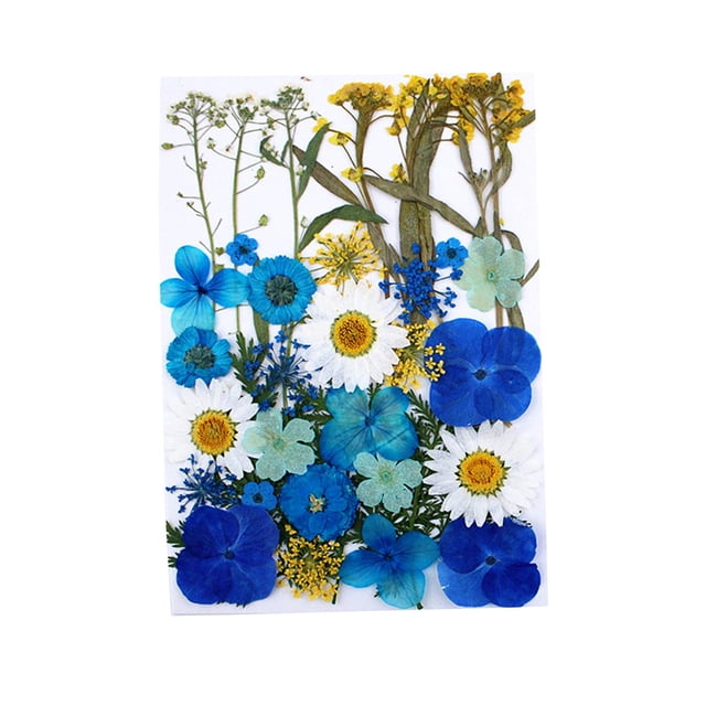 Pressé Séché Fleur Herbier DIY Marque-Page Résine Époxy Outil Bleu