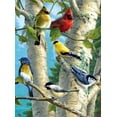 thumbnail image 2 of Buffalo Games Hautman Brothers Collection Songbird Favorites Puzzle, 1000 Piece, 2 of 3