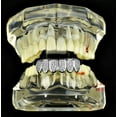 thumbnail image 5 of Premium Grillz Iced Silver Tone Bottom Teeth Bling Micro Pave CZ Pre-Made Hip Hop Grills, 5 of 10