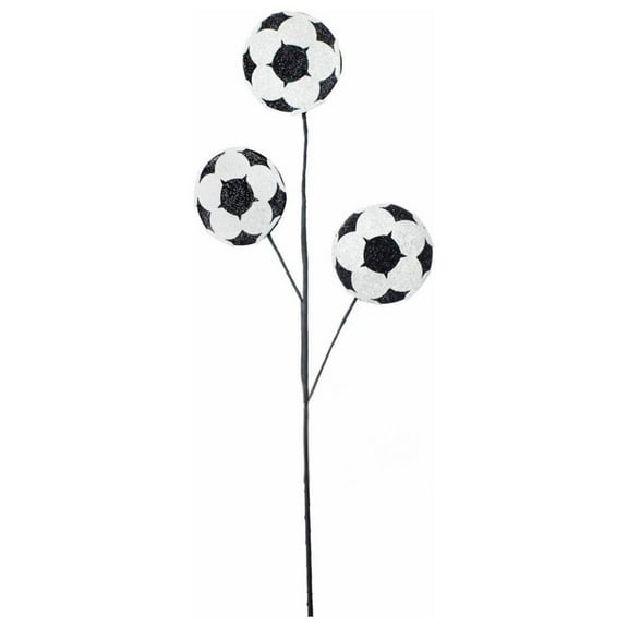 24" Glitter Soccer Ball Spray