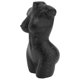 thumbnail image 3 of Decorative Vases For Desktop 1Pcs Elegant Lifestyle Black Resin Craft Ideal For Dining Table And Tearoom Decor, 3 of 3