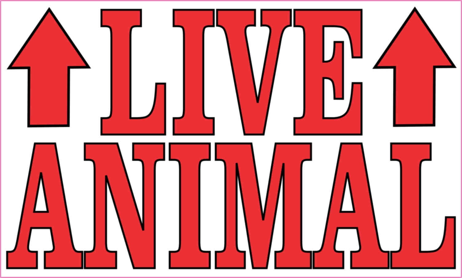 5in x 3in Red Live Animal Sticker Vinyl Cage Sign Decal Transport Stickers  