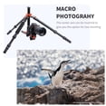 thumbnail image 4 of K&F Concept 67" Aluminum Camera Tripod with Monopod Transverse Center Column, Black, 4 of 9