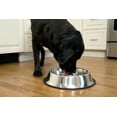 thumbnail image 4 of Iconic Pet 2-Pack Slow Feed Stainless Steel Pet Bowl For Dog Or Cat, Small, 12 Oz, 4 of 7