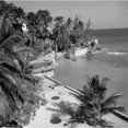 thumbnail image 2 of Jamaica, idyllic tropical landscape Poster Print (24 x 36), 2 of 4