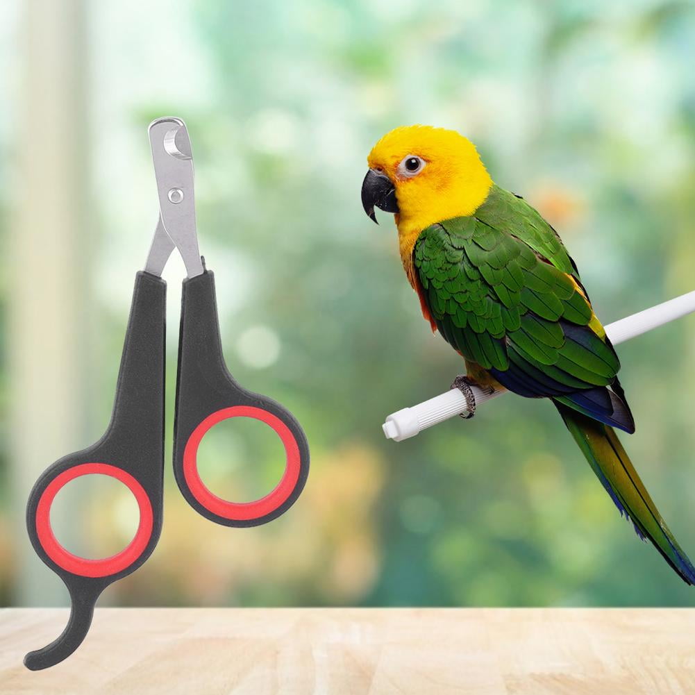 TOPINCN Pet Bird Parrot Small Animals Accessory Grooming Tool Nail