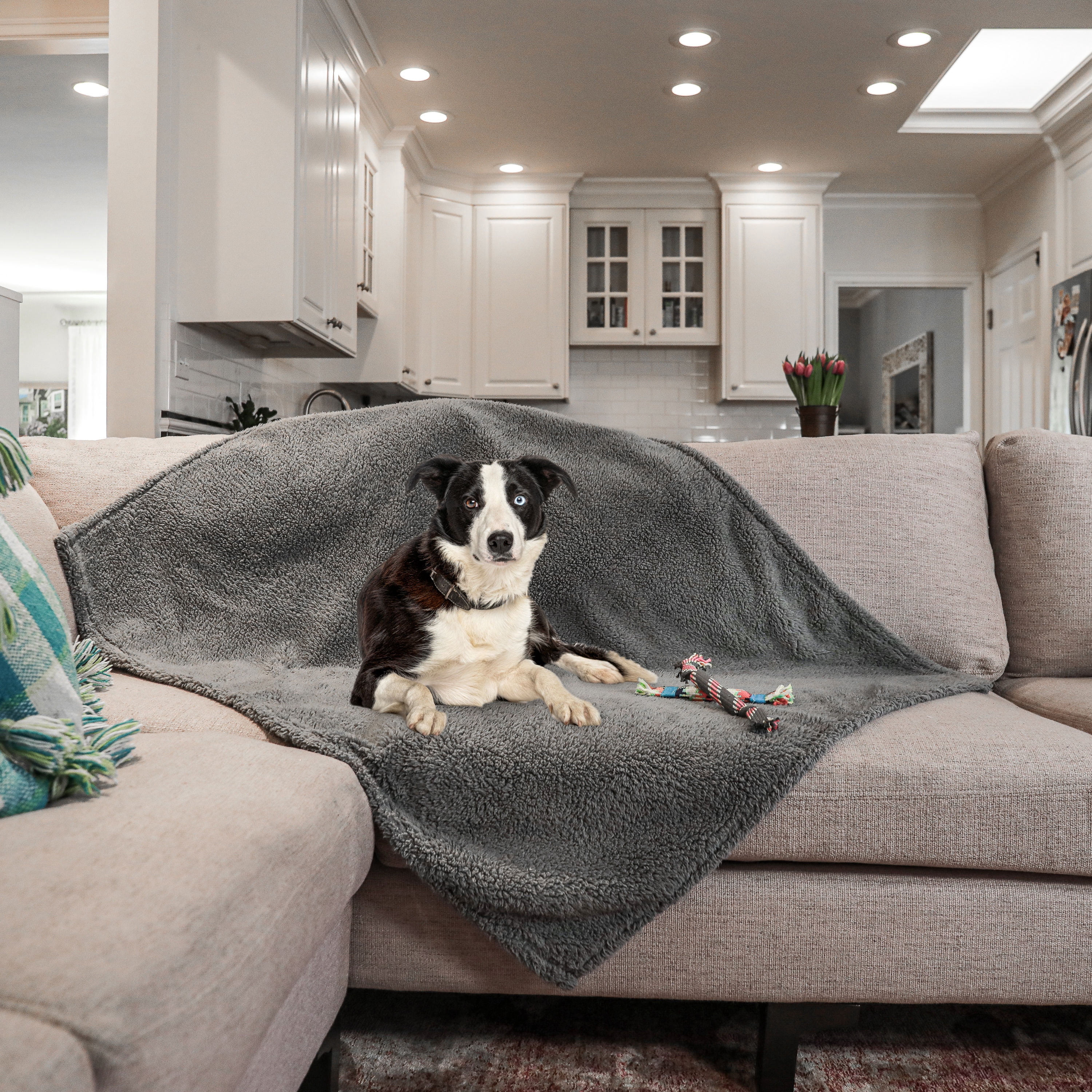 rocket & rex Medium Waterproof Dog Blanket, Grey, Washable Waterproof Pet Blanket Protects Beds, Couches & Other Furniture, Premium Fleece Fabric with Reversible Faux Suede, 30" x 40" (Pack of 1)