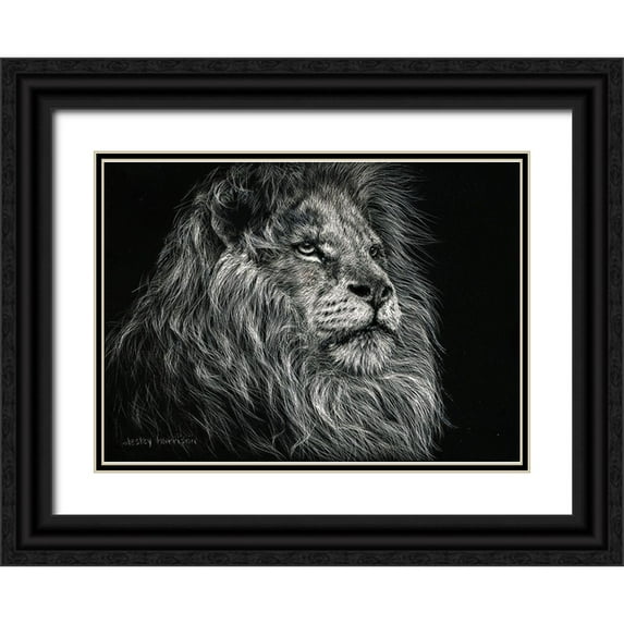 Harrison, Lesley 24x18 Black Ornate Wood Framed with Double Matting Museum Art Print Titled - African Lion