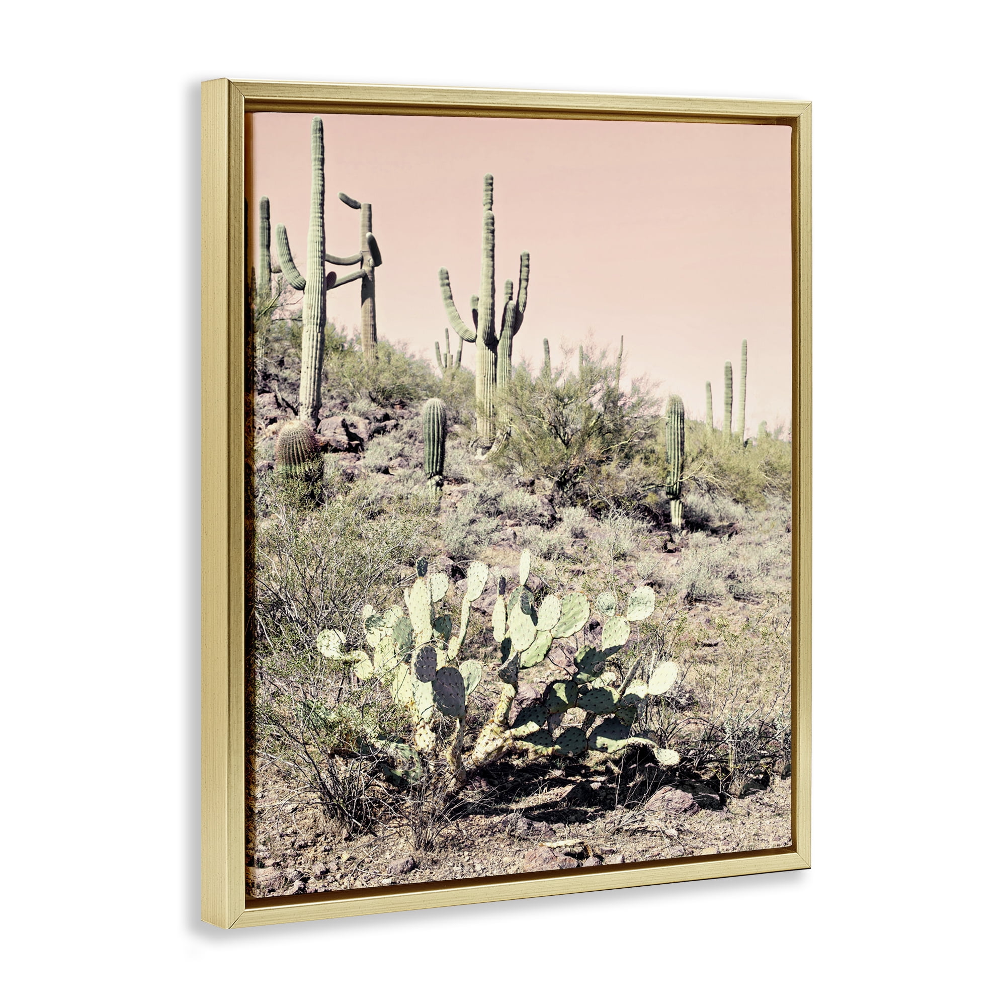 Stupell Industries Rustic Desert Scene Landscape & Nature Photography Gold Floater Framed Canvas Art Print Wall Art, 25 x 31