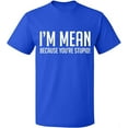 thumbnail image 2 of OXI T-Shirt - I Am Mean Because You Are Stupid, Basic Casual T-Shirt for Men's and Women Fleece T-Shirt Short Sleeve - Royal Blue Large, 2 of 3