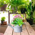 thumbnail image 2 of Yuarrent Cubos de Metal Vintage, maceta con forma de rociador, maceta, jarrones de mesa, soporte de jarra de estilo Retro para el jardín del hogar Jardín y Patio Yuarrent HA036544-00, 2 of 6
