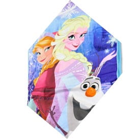Disney Frozen Elsa and Anna Memory Foam Nap Mat