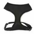 thumbnail image 2 of Casual Canine Mesh Dog Harness, 2 of 5
