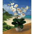 thumbnail image 2 of Nearly Natural Double Phalaenopsis Artificial Orchid Flower Arrangement, Cream, 2 of 2
