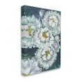 thumbnail image 3 of Stupell Fluffy White Flower Petals Nature Botanical & Floral Painting Gallery Wrapped Canvas Print Wall Art, 3 of 5