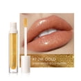 thumbnail image 1 of Brillo de labios HUOGUO Plumpmax High Shimmer 10 colores con extracto de menta, 1 of 1