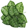 thumbnail image 1 of Bangcool Artificial Leaves Stems Realistic Fake Plant Faux Leaf Branch for Home Decor, 1 of 6
