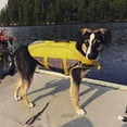thumbnail image 2 of Level Six Rover Floater Dog PFD, 2 of 8