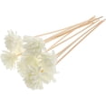 thumbnail image 1 of Yardenfun Essential Oil Diffuser Stick: 10pcs 9Inch Natural Rattan Flower Fragrance Diffuser Set Replacement for Home Decor, 1 of 8