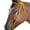 Orange, variant on Orange Horse Bridle Headstall Flat Braided Paracord Crystal Hilason